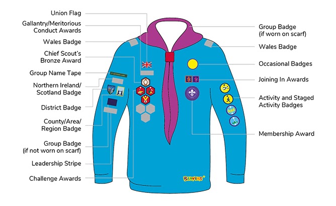Beavers Jumper and Badges